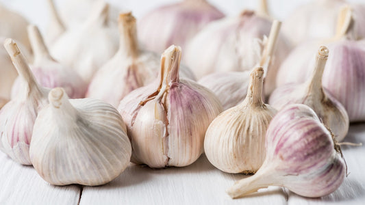 Czosnek w domowej kuchni: Jak wydobyć najlepszy smak i zachować świeżość?